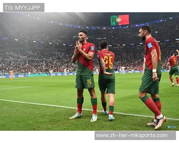 西班牙与葡萄牙世界杯精彩对决录像视频回顾与分析